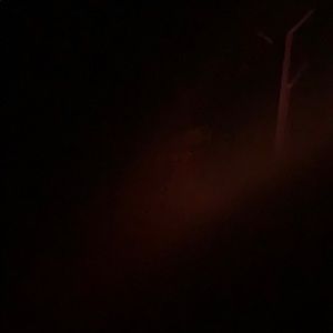 Meet your Posher, Bryson